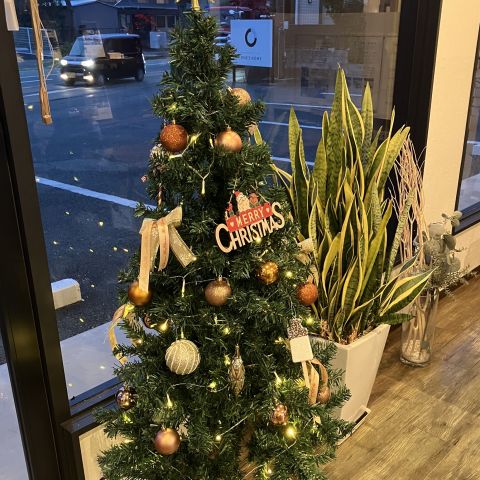 クリスマスツリーを飾りました！